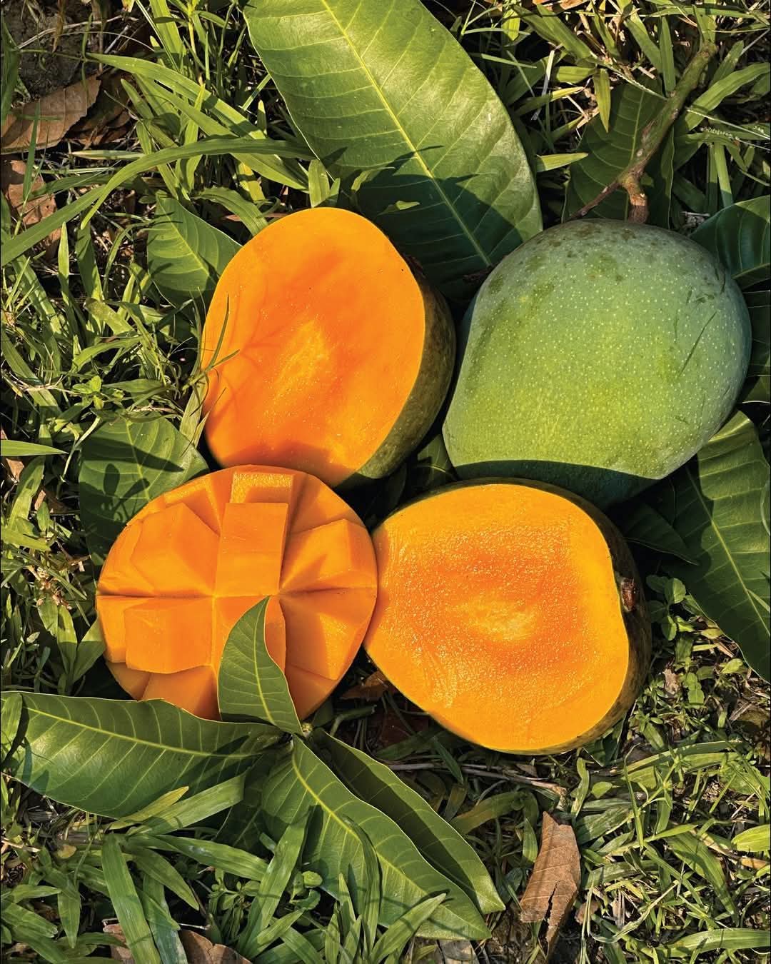 সংগ্রহ