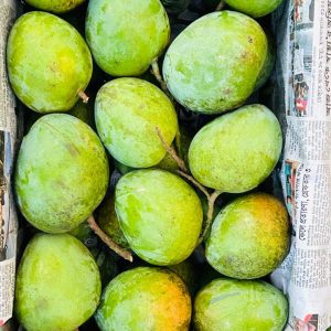হাঁড়িভাঙ্গা আম