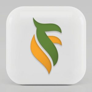 Feastory's Mango